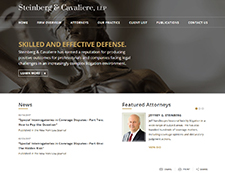 Steinberg & Cavaliere Website Thumbnail